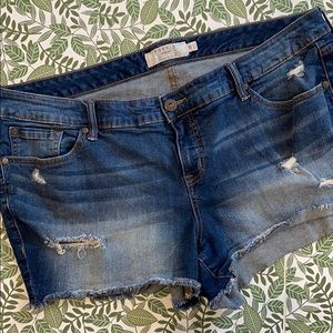 Torrid Distressed Cut Off Denim Shorts (3.5”)